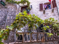 Kotor